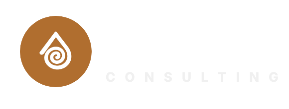AGILIUS CONSULTING