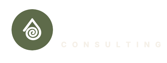 AGILIUS CONSULTING